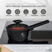 BH-8175-6INDUCTION.webp