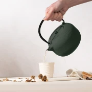 Zaparzacz żeliwny do herbaty BerlingerHaus BH-8942 Matte Green Collection